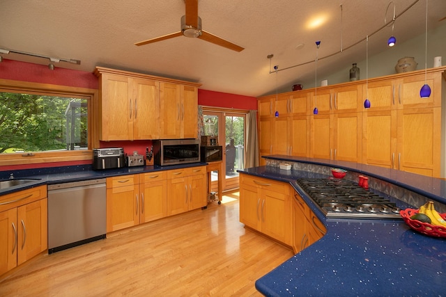 175 6th Ln NE, Oronoco, MN 55960 - kitchen featuring appliances with stainless steel finishes, light wood-type flooring, a ceiling fan, track lighting, and dark countertops