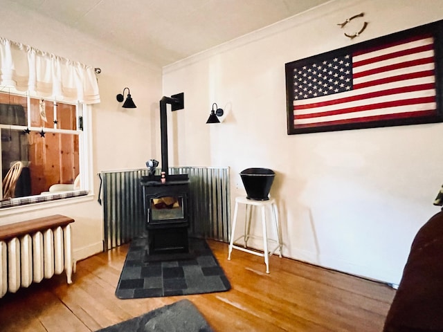 223 4th St, Virginia, MN 55792 - detailed view of a wood stove, radiator, and wood finished floors