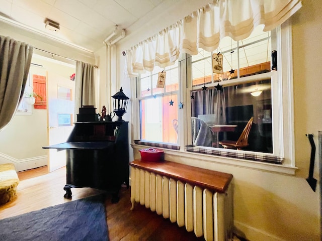 223 4th St, Virginia, MN 55792 - living area with radiator and wood finished floors