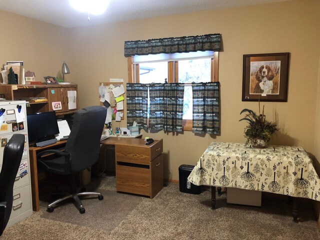 11160 Ottertail Point Dr NW, Cass Lake, MN 56633 - carpeted bedroom featuring an office area