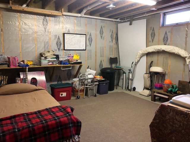 11160 Ottertail Point Dr NW, Cass Lake, MN 56633 - view of below grade area