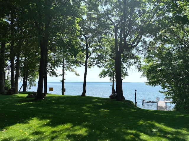 11160 Ottertail Point Dr NW, Cass Lake, MN 56633 - water view