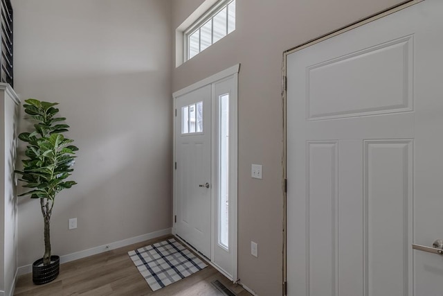2216 Lake Ave, New Ulm, MN 56073 - entrance foyer with light wood-type flooring and a high ceiling