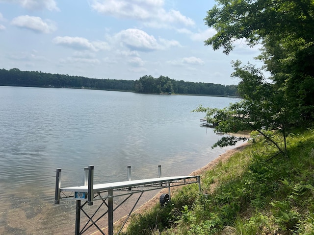 29184 Jana Rd, Scott Twp, WI 54830 - water view with a dock and a forest