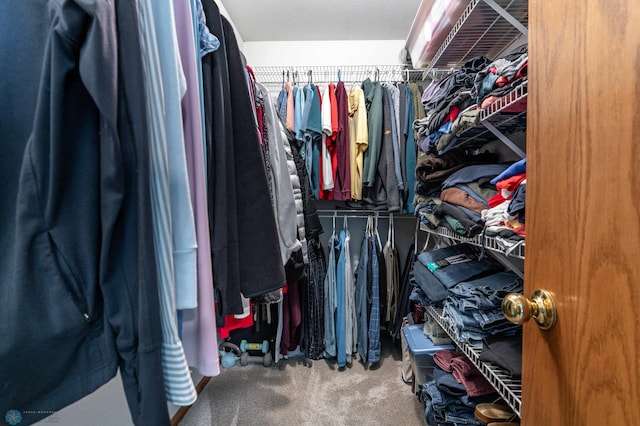 152 17th Ave W, West Fargo, ND 58078 - walk in closet featuring carpet flooring