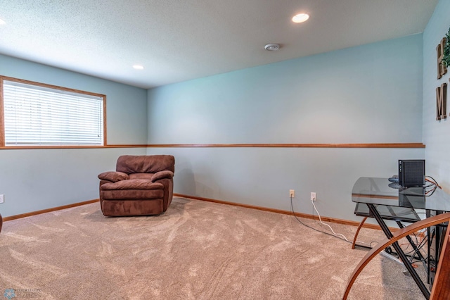 152 17th Ave W, West Fargo, ND 58078 - sitting room with carpet floors and recessed lighting