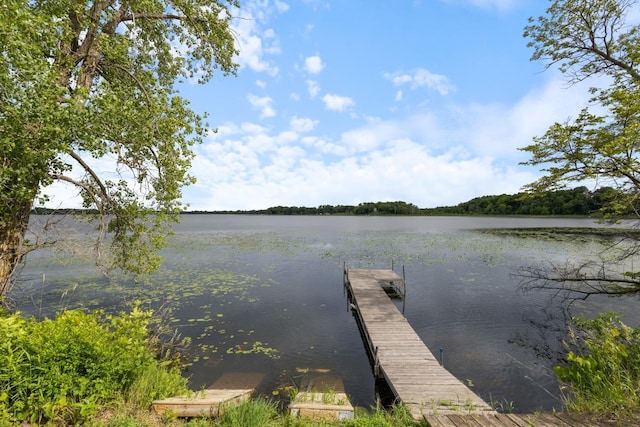 3170 Stark Rd, Fish Lake Twp, MN 55032 - dock featuring a water view