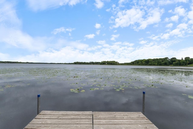 3170 Stark Rd, Fish Lake Twp, MN 55032 - dock area featuring a water view