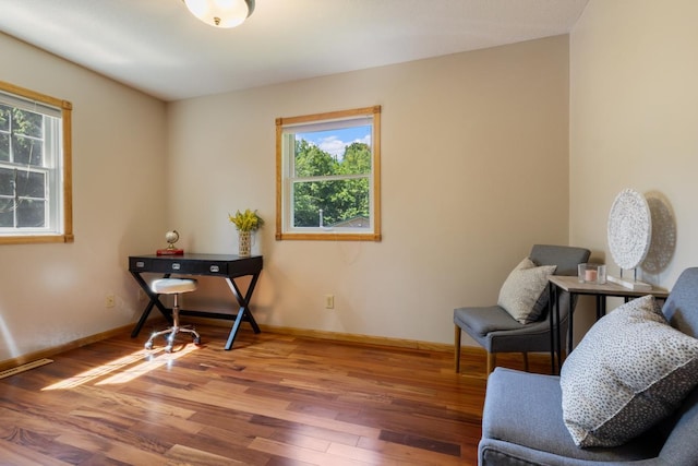 3170 Stark Rd, Fish Lake Twp, MN 55032 - office space featuring wood finished floors and plenty of natural light