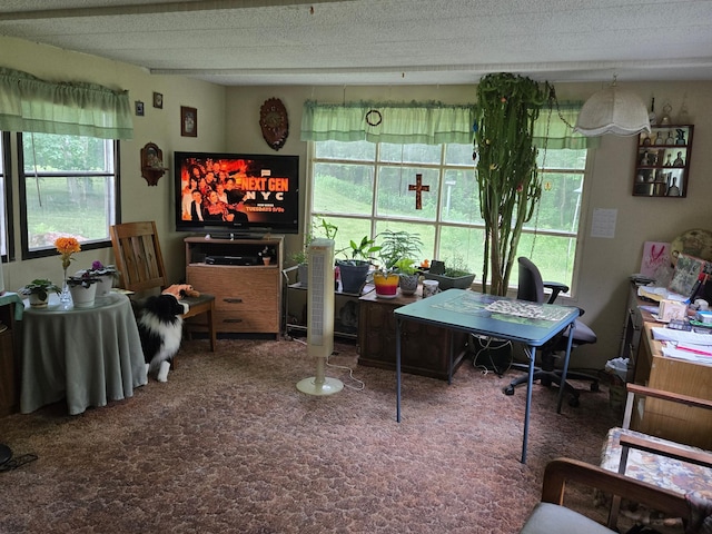 3036 280th Ave, Pomroy Twp, MN 55007