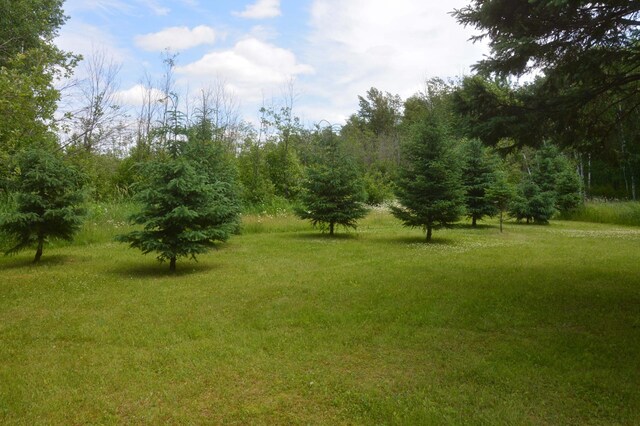 27284 310th Ave, Malmo Twp, MN 56431 - photo 16