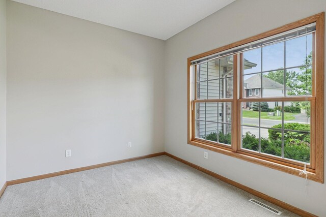 13176 Crolly Ct, Rosemount, MN 55068 - photo 7
