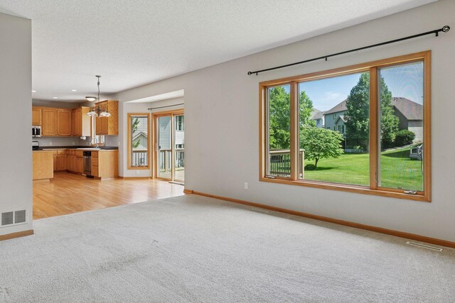 13176 Crolly Ct, Rosemount, MN 55068 - photo 22