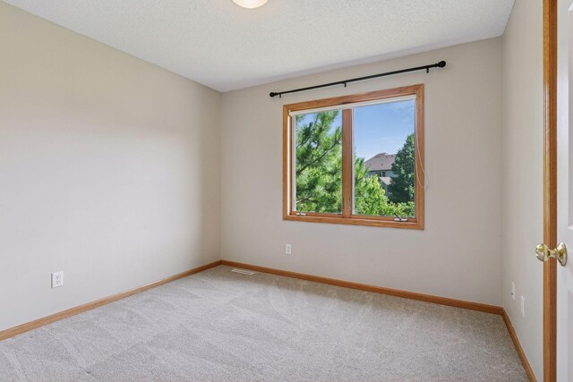 13176 Crolly Ct, Rosemount, MN 55068 - photo 33