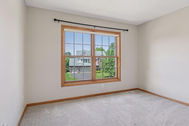 13176 Crolly Ct, Rosemount, MN 55068 - photo 35