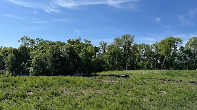 7856 Martin Ave NE, Otsego, MN 55330 - view of undeveloped land