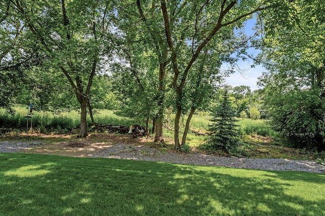 12741 Owatonna St NE, Blaine, MN 55449 - photo 38