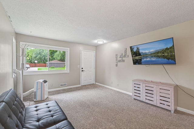 800-802 Parkview Ln, Champlin, MN 55316 - unfurnished living room featuring a textured ceiling and carpet