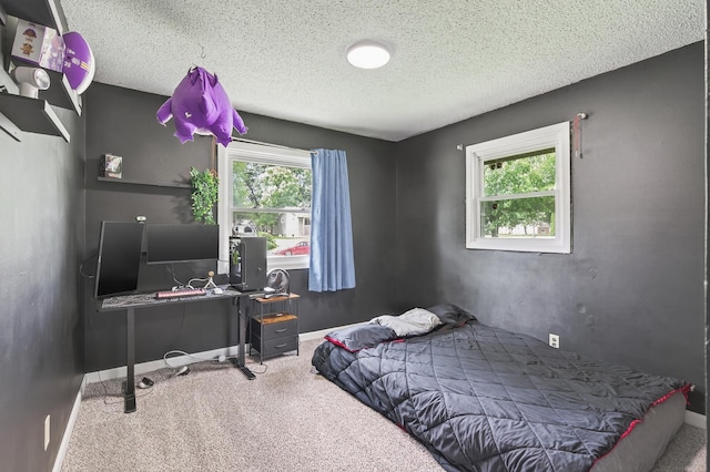 800-802 Parkview Ln, Champlin, MN 55316 - bedroom featuring carpet floors and a textured ceiling