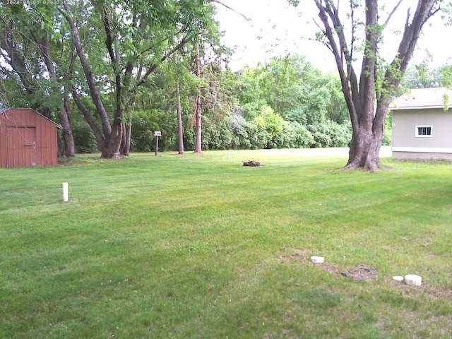 3655 95th Ave SE, Palmer Twp, MN 56304 - photo 6