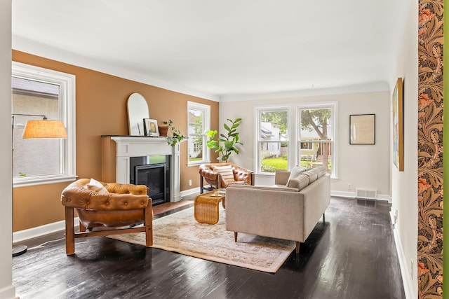 3615 33rd Ave S, Minneapolis, MN 55406 - living room with dark wood-style flooring, a glass covered fireplace, and plenty of natural light
