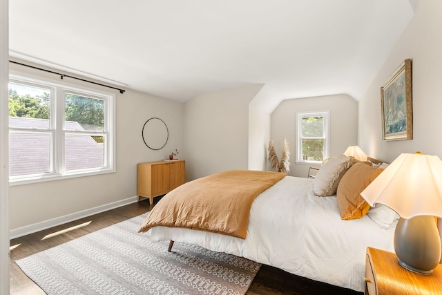 3615 33rd Ave S, Minneapolis, MN 55406 - bedroom featuring wood finished floors and vaulted ceiling