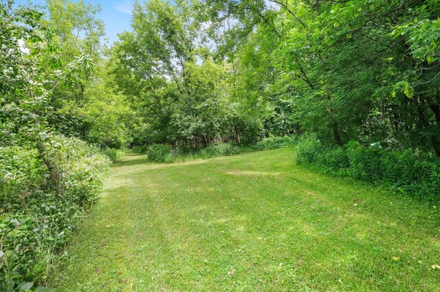 3070 County Rd E, Springfield Twp, WI 54013 - view of grassy yard with a forest view