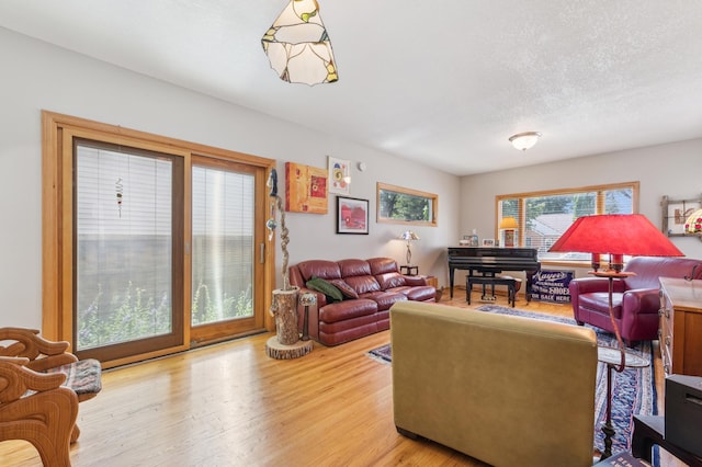 4105 31st Ave S, Minneapolis, MN 55406 - living area with light wood finished floors and a textured ceiling