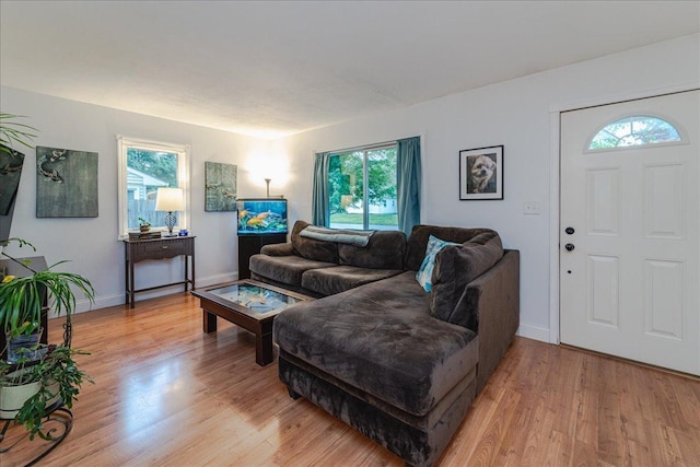 5220 Jersey Ave N, Crystal, MN 55428 - living area featuring healthy amount of natural light and light wood-type flooring