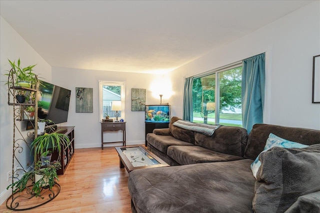 5220 Jersey Ave N, Crystal, MN 55428 - living room featuring healthy amount of natural light and light wood-type flooring