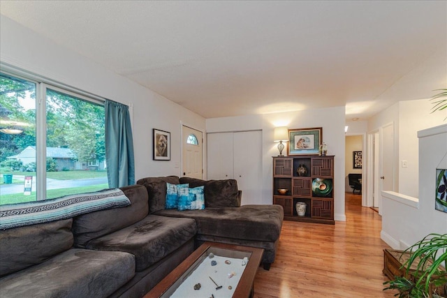 5220 Jersey Ave N, Crystal, MN 55428 - living room featuring light wood-style floors