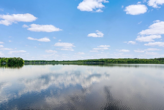 21865 512th Ln, Mcgregor, MN 55760 - water view with a heavily wooded area
