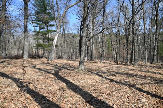 TBD Odin Ct, Ward Twp, MN 56438