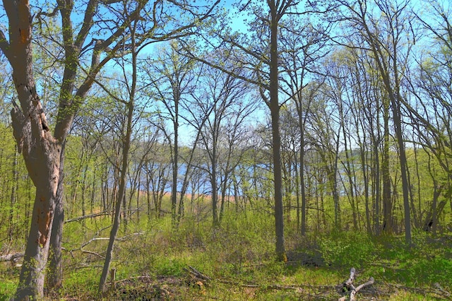 TBD Ottawa Dr, Fawn Lake Twp, MN 56438