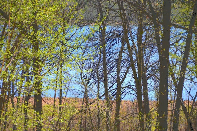 TBD Ottawa Dr, Fawn Lake Twp, MN 56438