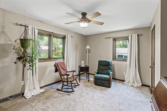 12417 Kennelly Rd, Burnsville, MN 55337 - photo 27