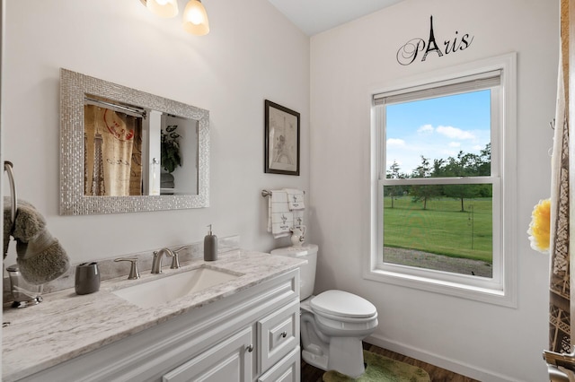 18981 247th Ave NW, Orrock Twp, MN 55309 - bathroom with vanity and wood finished floors