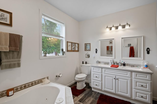 18981 247th Ave NW, Orrock Twp, MN 55309 - full bath with double vanity, a tub with jets, and wood finished floors