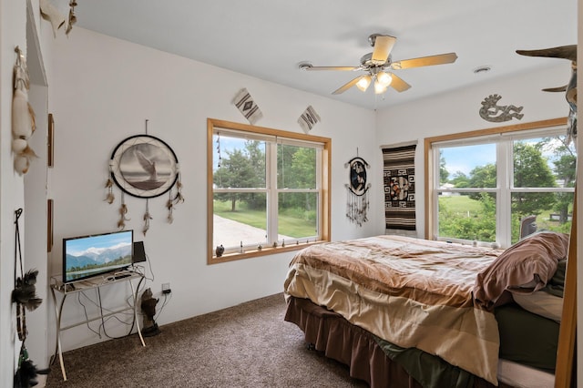 18981 247th Ave NW, Orrock Twp, MN 55309 - carpeted bedroom featuring multiple windows and a ceiling fan