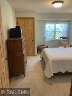935 Ferndale St N Unit 311, Maplewood, MN 55119 - photo 35
