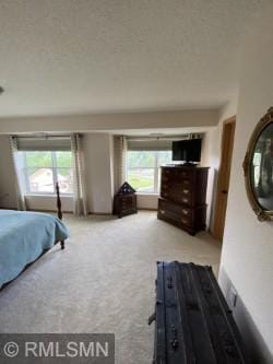 935 Ferndale St N Unit 311, Maplewood, MN 55119 - photo 12
