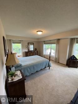 935 Ferndale St N Unit 311, Maplewood, MN 55119 - photo 14
