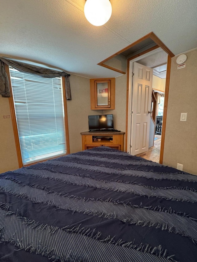 40716 Placid Dr, Dent, MN 56528 - bedroom featuring a textured ceiling