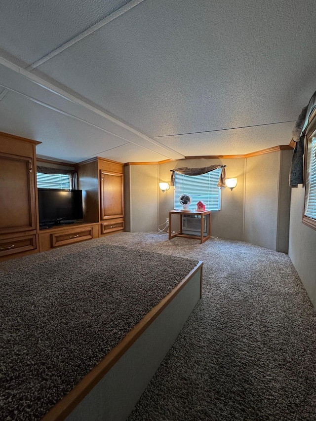 40716 Placid Dr, Dent, MN 56528 - living area with a textured ceiling and carpet