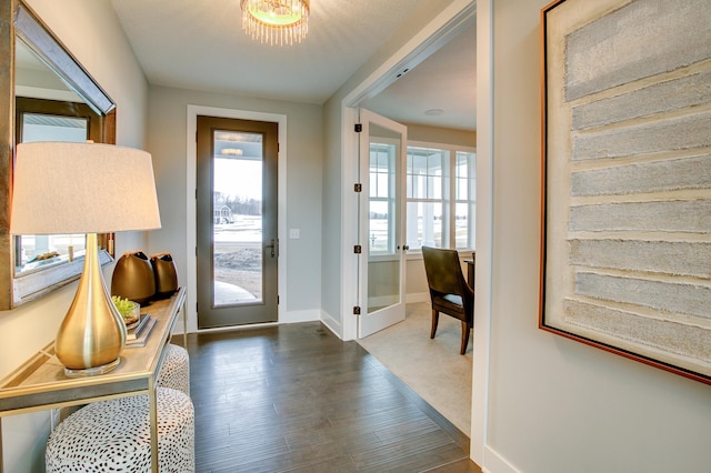 18210 102nd Pl N, Maple Grove, MN 55311 - entryway featuring plenty of natural light and wood finished floors