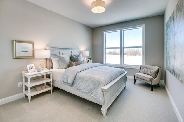 18210 102nd Pl N, Maple Grove, MN 55311 - bedroom featuring light colored carpet and baseboards