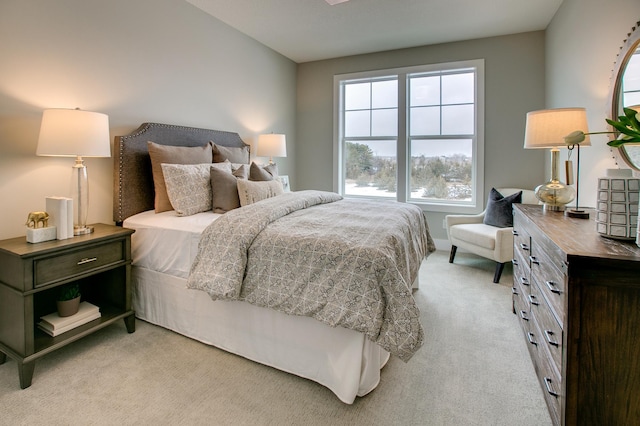 18210 102nd Pl N, Maple Grove, MN 55311 - bedroom featuring light colored carpet and multiple windows