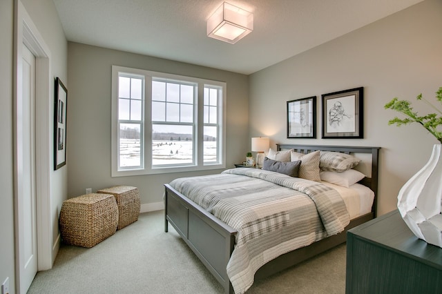 18210 102nd Pl N, Maple Grove, MN 55311 - bedroom with light colored carpet and baseboards
