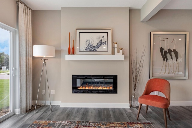 17021 Draper Way, Lakeville, MN 55044 - living room with wood finished floors and a glass covered fireplace