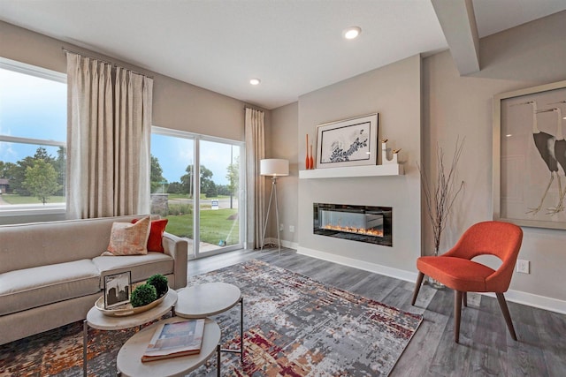 17021 Draper Way, Lakeville, MN 55044 - living room with wood finished floors, a glass covered fireplace, and recessed lighting